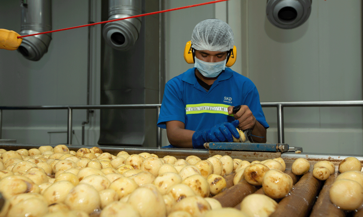 PepsiCo associate inspecting potatoes in a factory